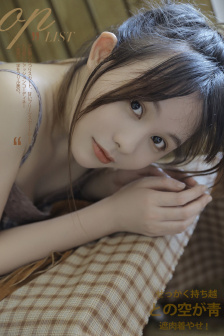 孤胆义侠